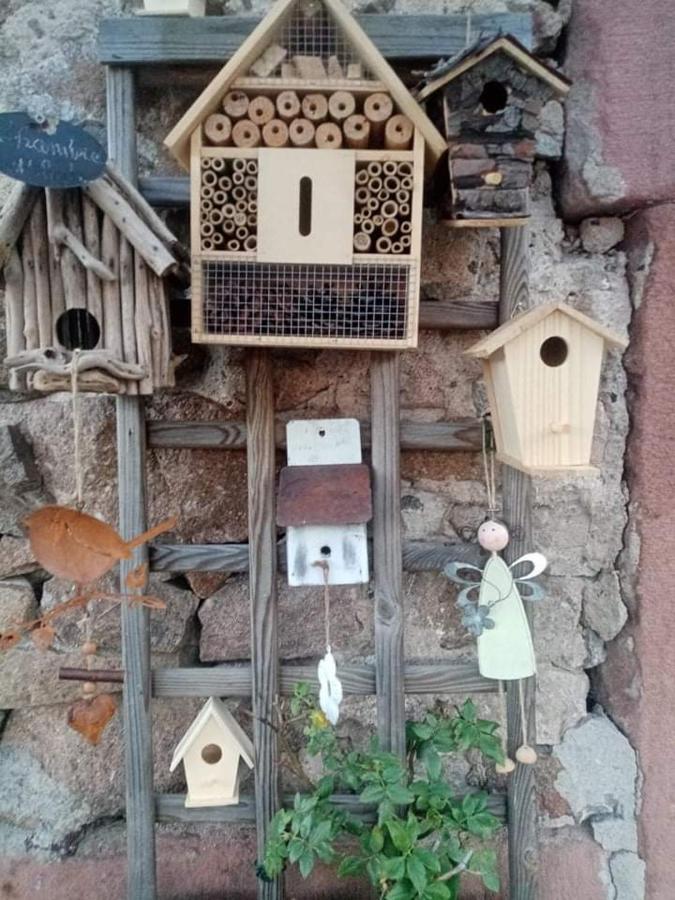 Gite Ferme La Rosee Blanche Laveline Εξωτερικό φωτογραφία
